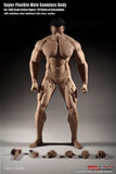 Phicen 1/6 scale Seamless Male Body (Mr Big) 12" body