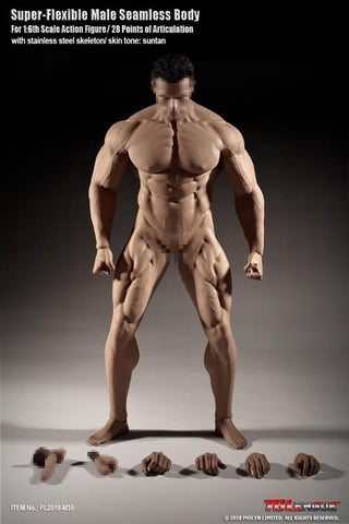 Phicen 1/6 scale Seamless Male Body (Mr Big) 12" body