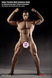 Phicen 1/6 scale Seamless Male Body (Mr Big) 12" body
