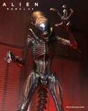 (Dented box) NECA Alien Romulus Ultimate Scorched Alien Xenomorph Figure