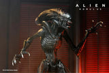 (Dented box) NECA Alien Romulus Ultimate Scorched Alien Xenomorph Figure