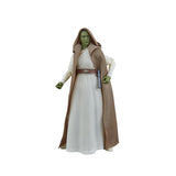 New Arrival! Star Wars Black Series 2025 wave 1 (5 figure set)