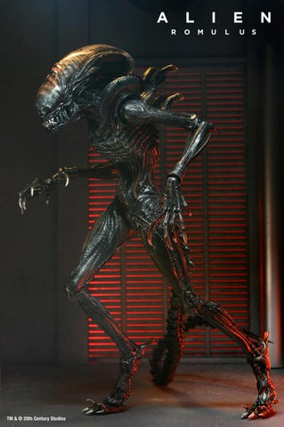 (Dented box) NECA Alien Romulus Ultimate Scorched Alien Xenomorph Figure