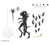 (Dented box) NECA Alien Romulus Ultimate Scorched Alien Xenomorph Figure