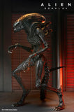 (Dented box) NECA Alien Romulus Ultimate Scorched Alien Xenomorph Figure
