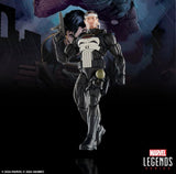 Marvel Legends Punisher and Bushwacker Action Figure 2-Pack