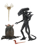 Neca 40th Ultimate Big Chap Alien 7” scale figure
