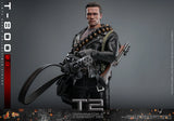 (Brand new sealed) Hot Toys T-800 2.0 (MMS795)