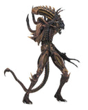 Aliens Series 13 (3-Figure Set)