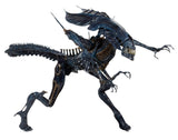 NECA Aliens Xenomorph Queen Ultra-Deluxe Boxed Action Figure