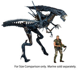 NECA Aliens Xenomorph Queen Ultra-Deluxe Boxed Action Figure