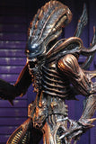 Aliens Series 13 (3-Figure Set)