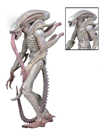 Aliens Series 9 - 7″ Scale Action Figure – Albino Alien