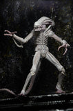 Aliens Series 9 - 7″ Scale Action Figure – Albino Alien