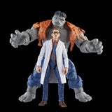 Marvel Legends Bruce Banner & Grey Hulk