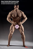 Phicen 1/6 scale Seamless Male Body (Mr Big) 12" body