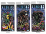 Aliens Series 13 (3-Figure Set)