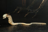 NECA Alien 3 Ultimate Dog Alien