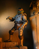 Neca TMNT Michaelangelo as The Mummy Figure