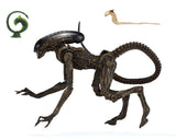 NECA Alien 3 Ultimate Dog Alien