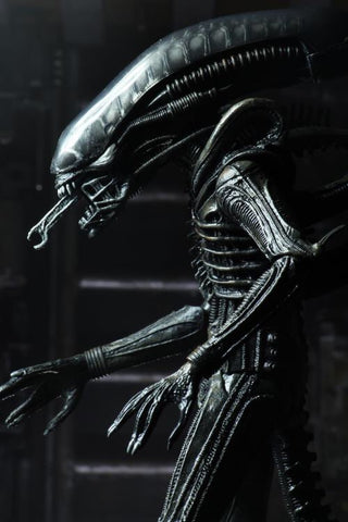 Pre-Order - Neca 40th Ultimate Big Chap Alien 7” scale figure