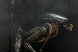 NECA Alien 3 Ultimate Dog Alien