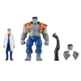 Marvel Legends Bruce Banner & Grey Hulk