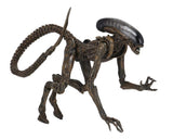 NECA Alien 3 Ultimate Dog Alien